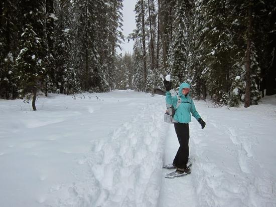 snow trail