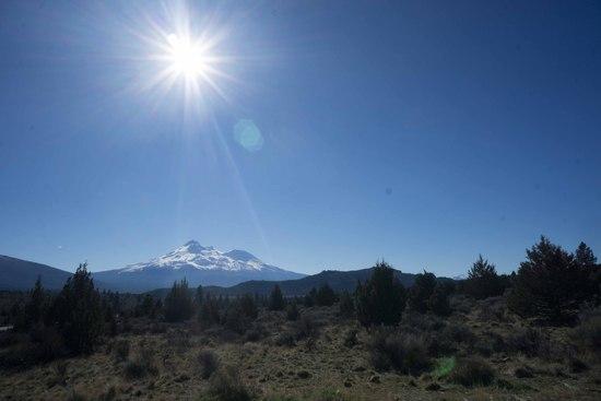 Shasta