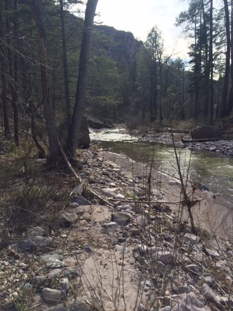 Mogollon creek Feb 2015