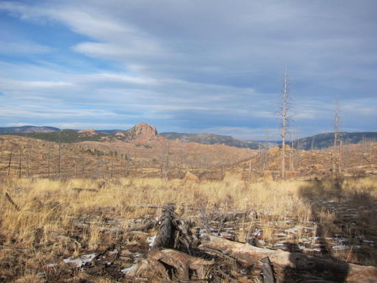 CT2 burn area 1