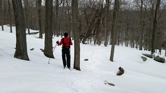skier