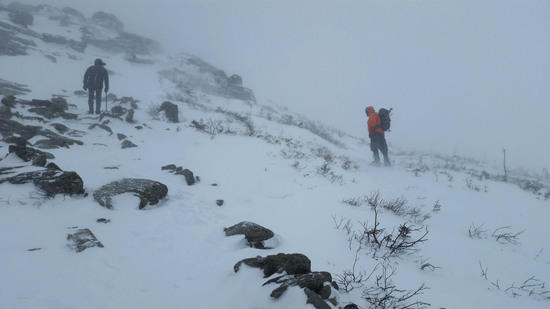 nearing lion head