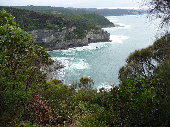 more coast