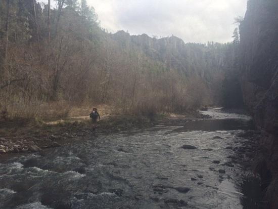 West Fk mar15