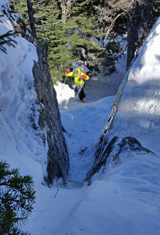 john at v notch