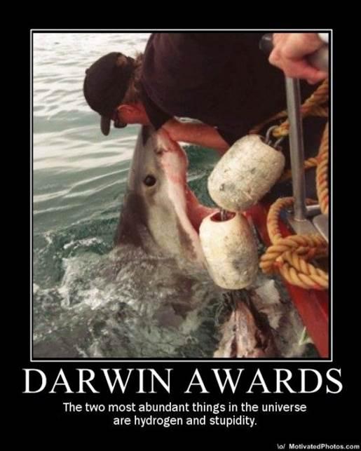 darwin