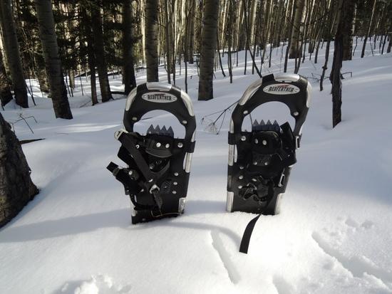 snowshoes