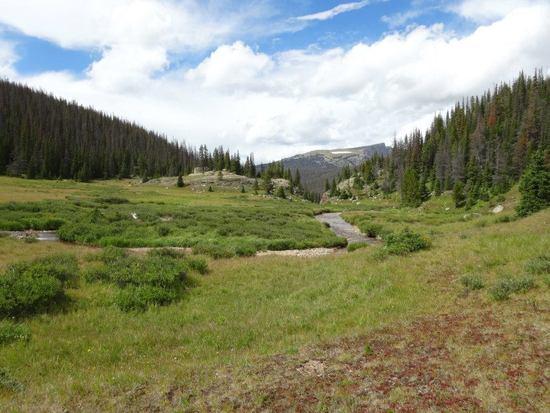 Hague Creek