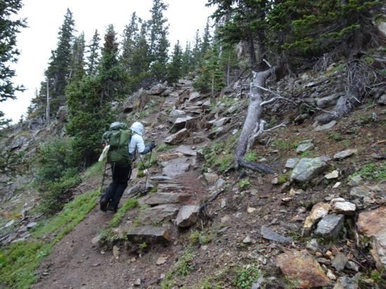 Mount Chapin Trail
