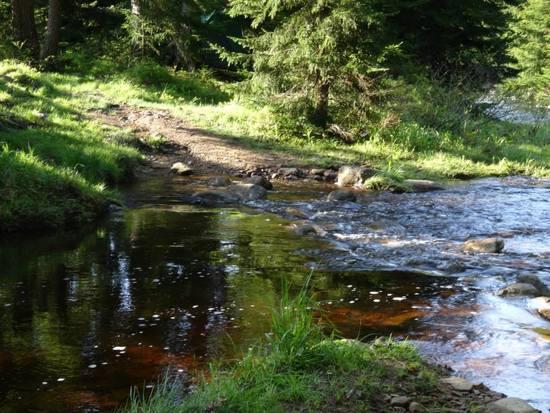 Creek Crossing