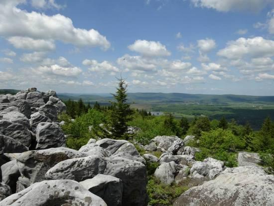 Raven Ridge Trail