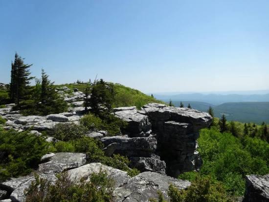 Bear Rocks Trailhead