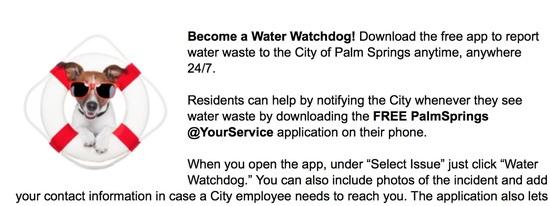 water watch dog