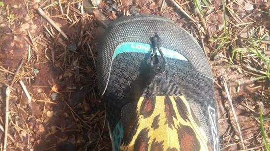 toe loop