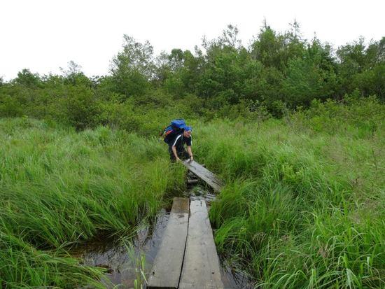 Fixing Path