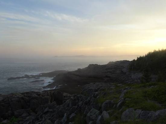 Campsite View