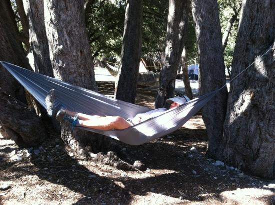 Steve in hammock