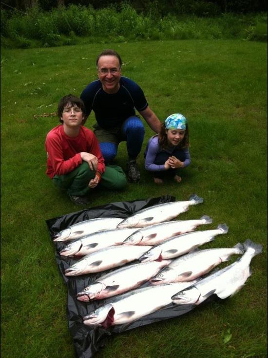 Sockeye