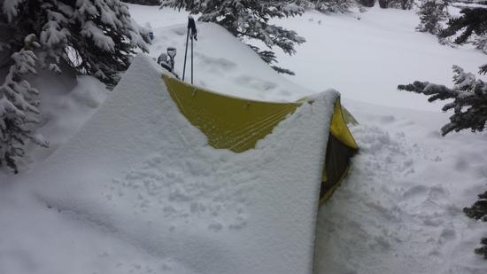 Tensegrity in snow