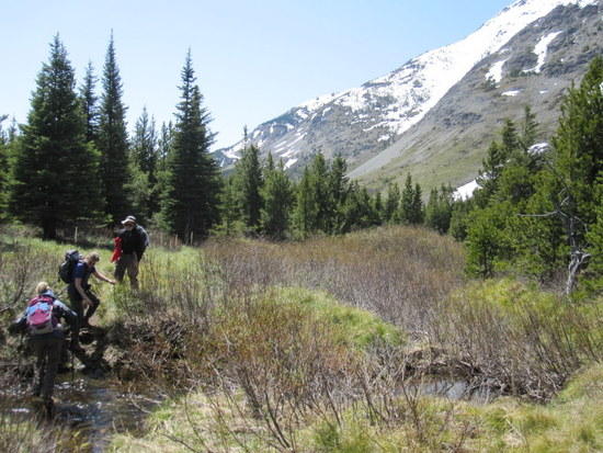 Stream Crossing