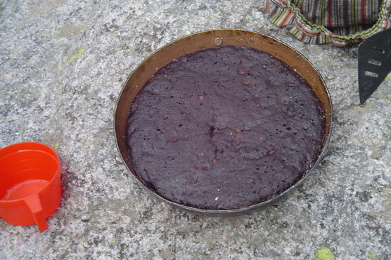 WR Cake 1