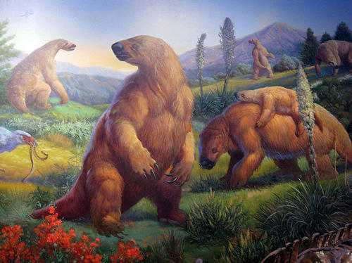 ground sloths