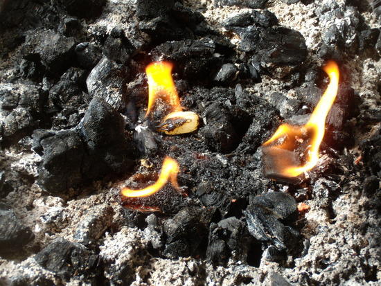 fire starter comparison