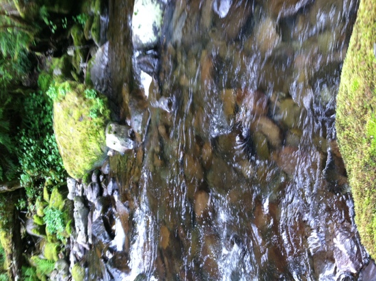 creek crossing