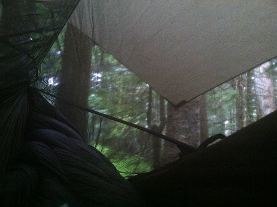 hammock view
