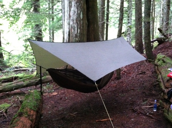 hammock set-up