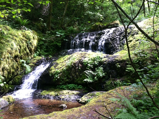 pretty little falls