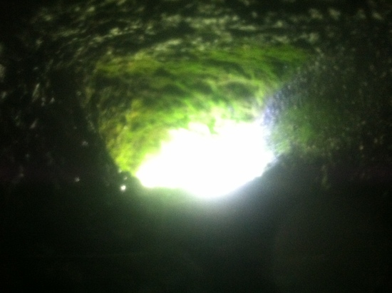 light at the end