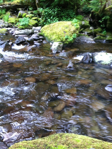 water