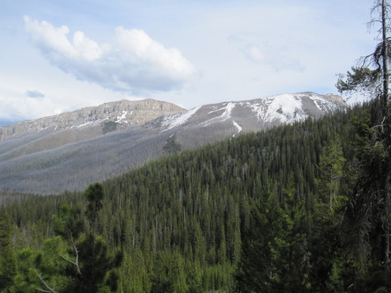 View Along Bartlett Creek