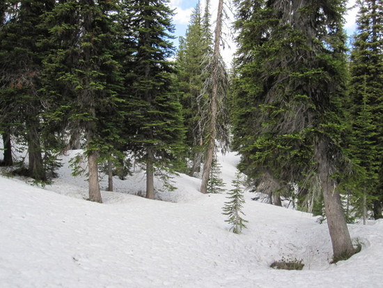 Trail?