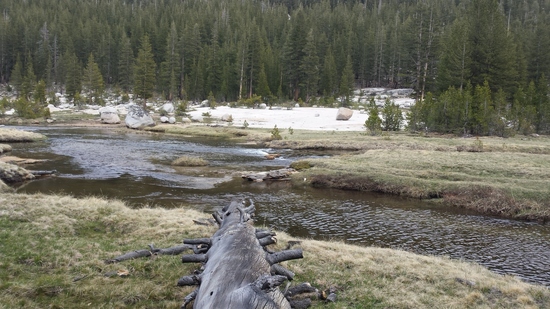log