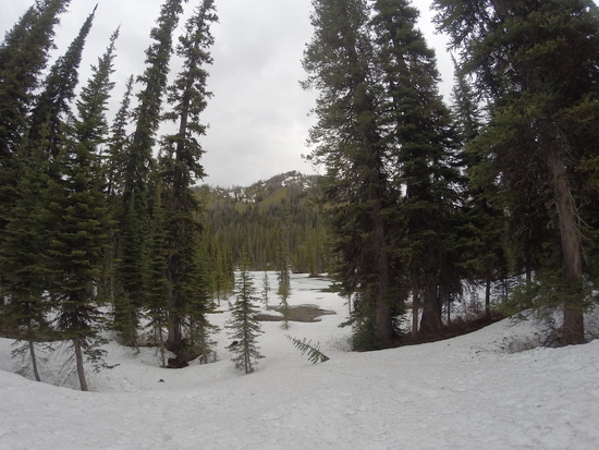 Frozen My Lakes