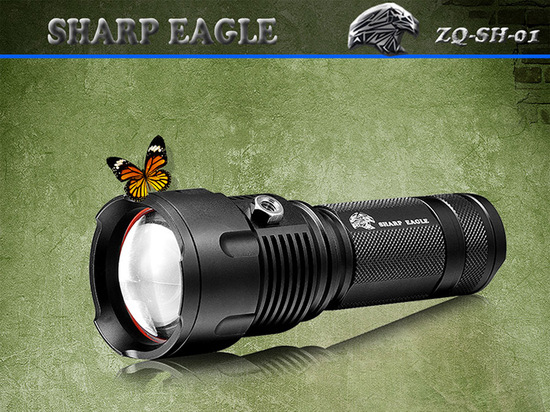 Sharp Eagle