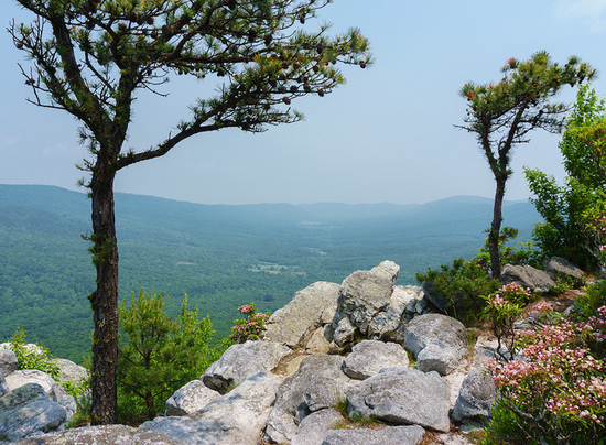 Tibbet Knob overlooking Trout Run Valley, George Washington National Forest
