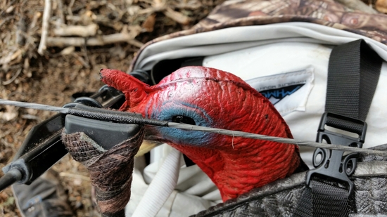 decoy