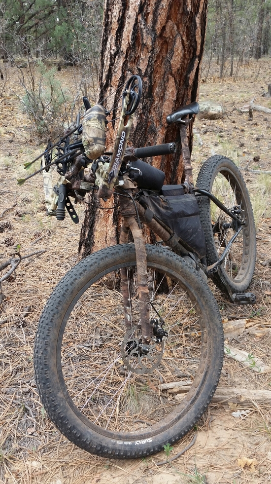 bike and bow