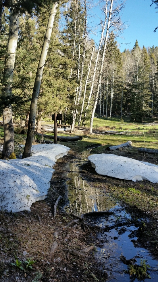 trail wet
