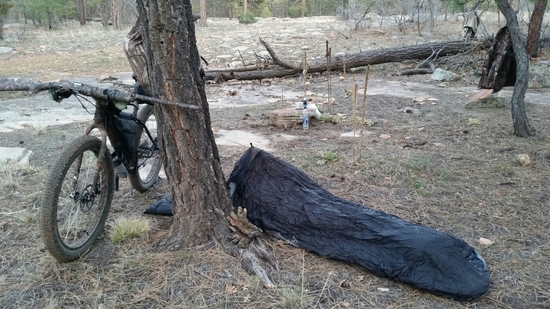 bivy