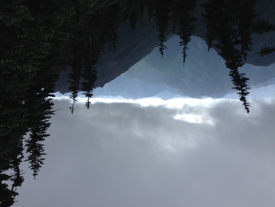 Mt Ellinor view