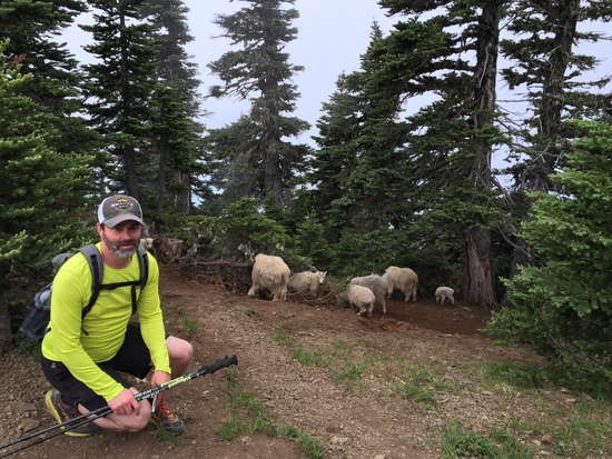 Steve with the goats