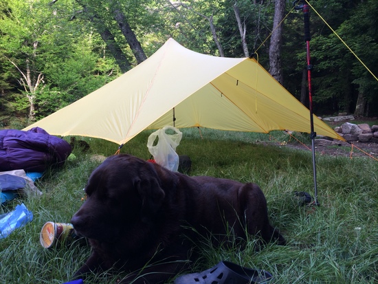 Trailstar