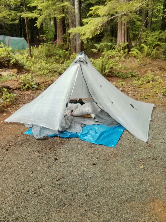 Shelter #3