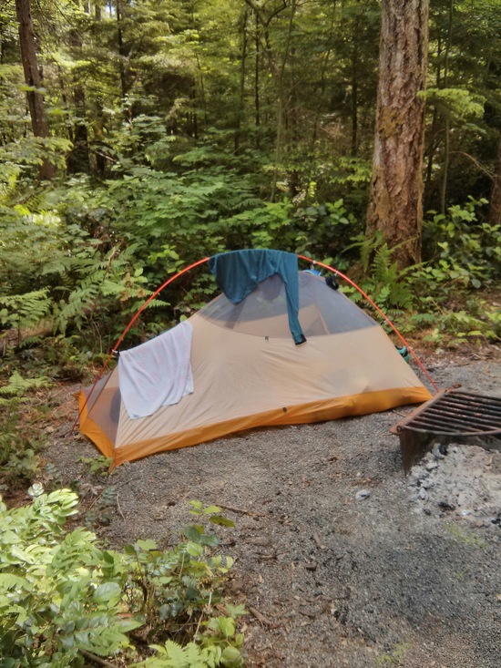 Shelter #7