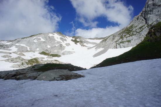 Snow field