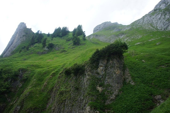 Bogartl&uuml;cke